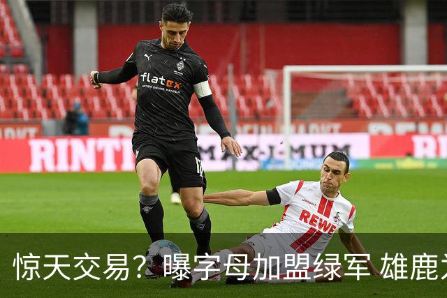 惊天交易？曝字母加盟绿军 雄鹿为布朗寻找第三方