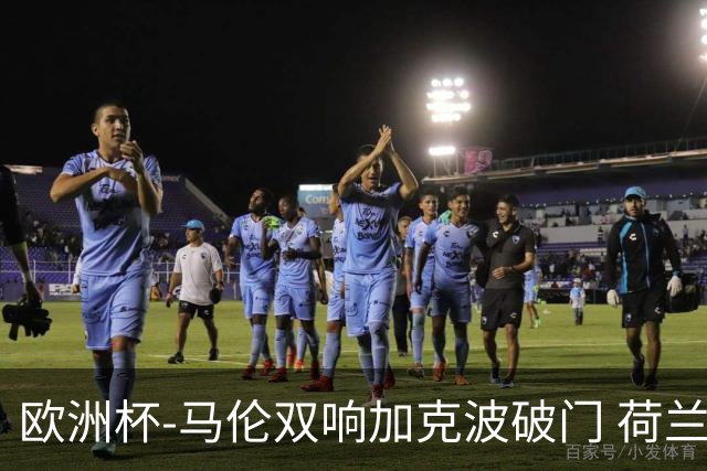欧洲杯-马伦双响加克波破门 荷兰3-0罗马尼亚